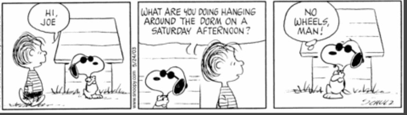 Illustration for article titled “You stupid darkness!” and 29 other Peanuts quotes for everyday use